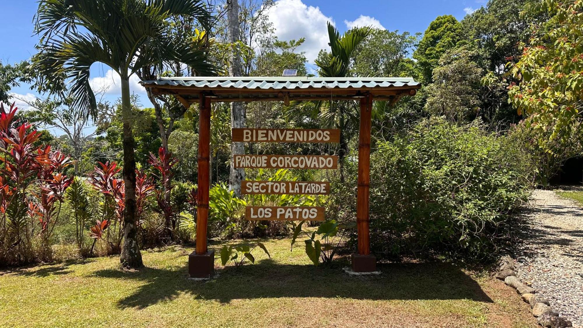 Ecoturistico La Tarde Puerto Jiménez Exterior foto